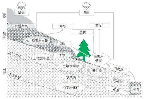 遥感综合观测与模型集成研究为黑河流域生态环境保护与可持续发展提供科技支撑